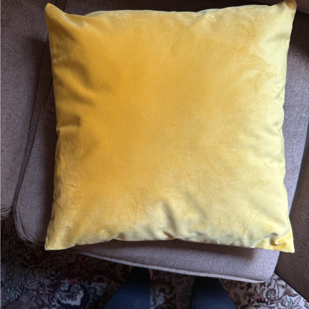 Four Velvet Throw Pillows